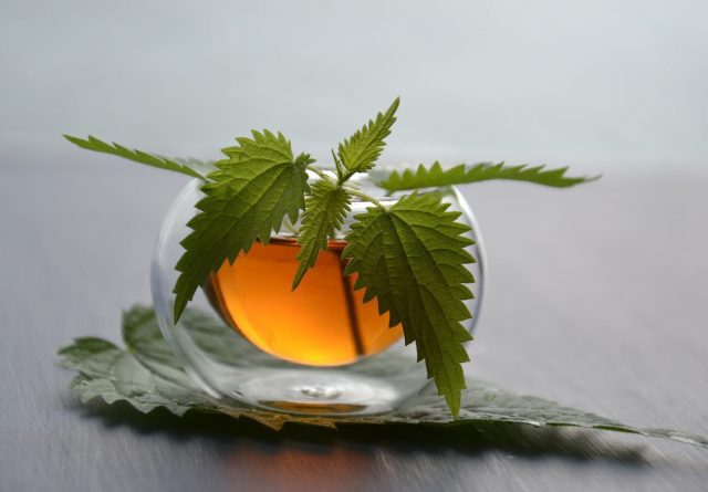 Tea in a glass with a leaf placemat and leaves on top of the glass