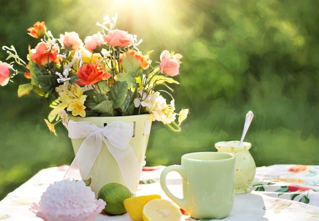 A flower pot with tea mug and lemon and limes on a table cloth in a green space outdoors