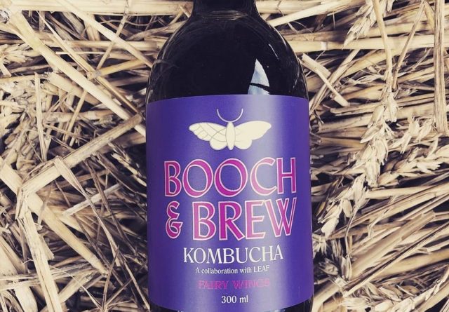 Booch & Brew Kombucha with Leaf Fairy Wings Loose Leaf Tea on a bed of dried wheat